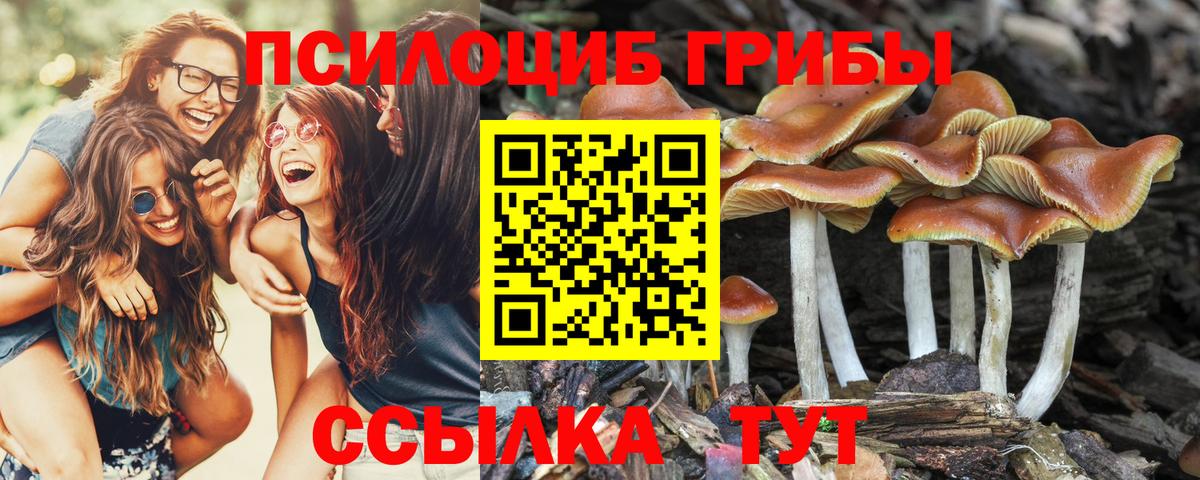 где найти   Псилоцибиновые грибы Psilocybe  Вход с VPN  Лабытнанги  Псилоцибиновые грибы Magic Shrooms 